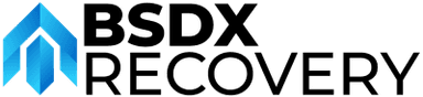 BSDX Logo