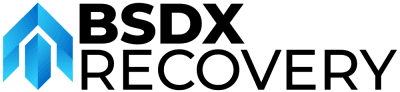 BSDX Logo